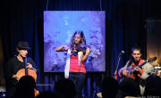 Wild Strings Trio (foto: Jure Matoz)