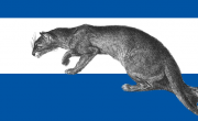 Fossa