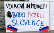 Zaščitimo zveri