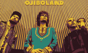 Ojibo Afrobeat: Ojiboland