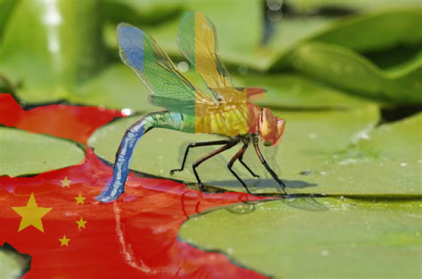 Google dragonfly