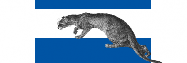 Fossa