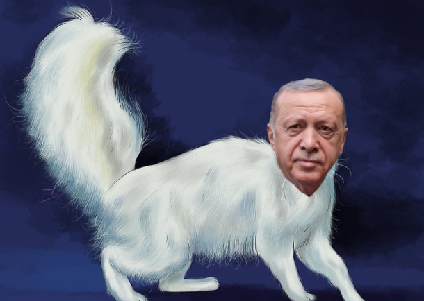 erdogan